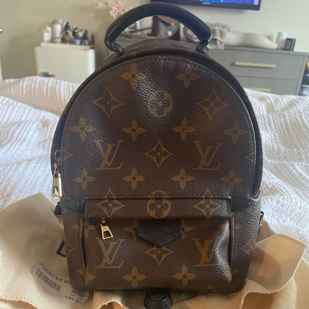 Louis Vuitton Palm Springs mini